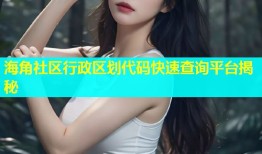 海角社区行政区划代码快速查询平台揭秘