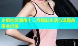 企鹅社区海角十二号精彩生活与温馨故事全记录