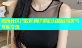 海角社区行政区划详解助力精准服务与互动交流