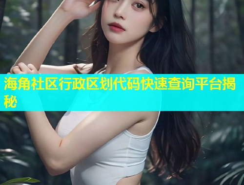 海角社区行政区划代码快速查询平台揭秘